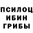 Псилоцибиновые грибы Magic Shrooms Bulat Talub