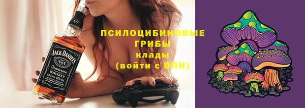 apvp Алзамай