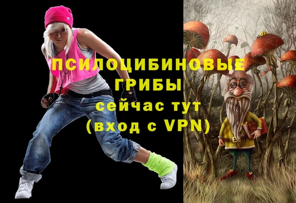 apvp Алзамай