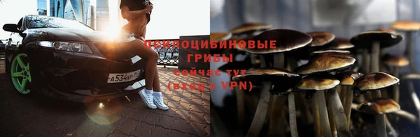 гашик Алексин