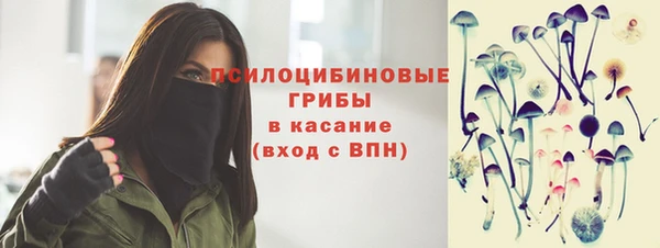 гашик Алексин