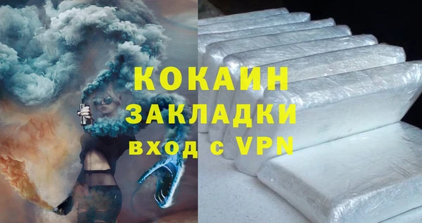 гашик Алексин