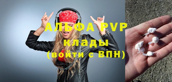 гашик Алексин