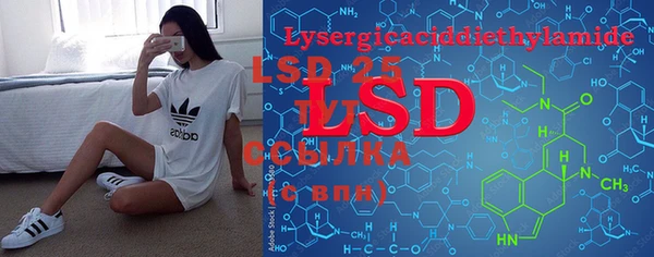 PSILOCYBIN Алексеевка