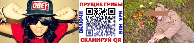 даркнет сайт Хотьково Псилоцибиновые грибы Psilocybine cubensis